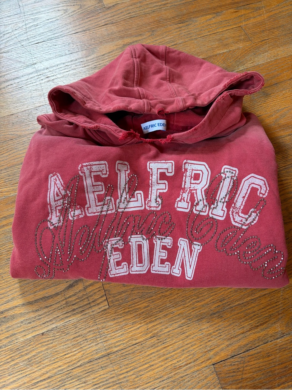 AELFRIC EDEN BOXY RHINESTONE 77 GRAPHIC PULLOVER HOODIE